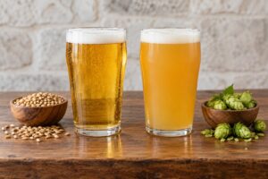 lager vs ale explained for beginners