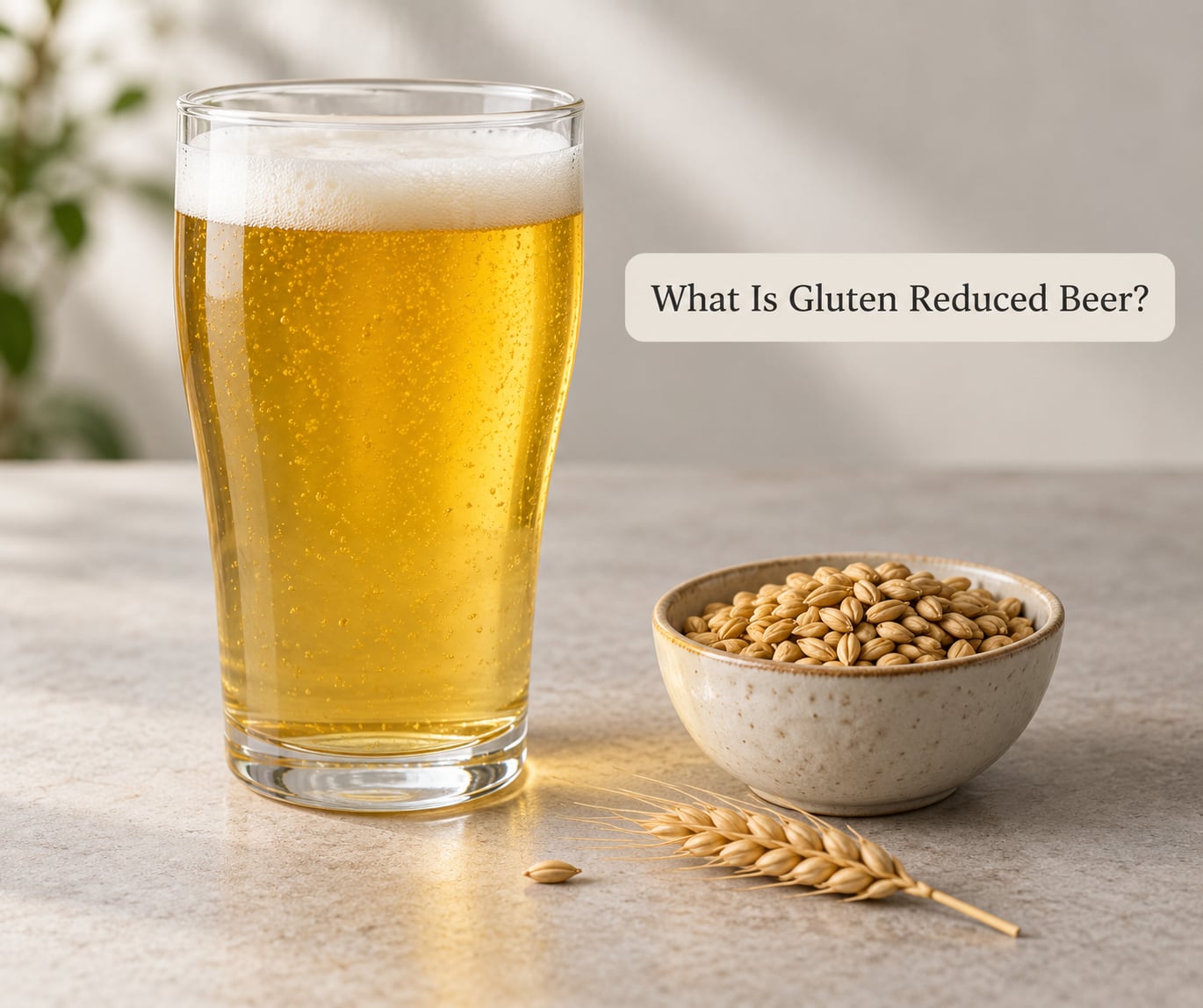 What Is Gluten Reduced Beer?