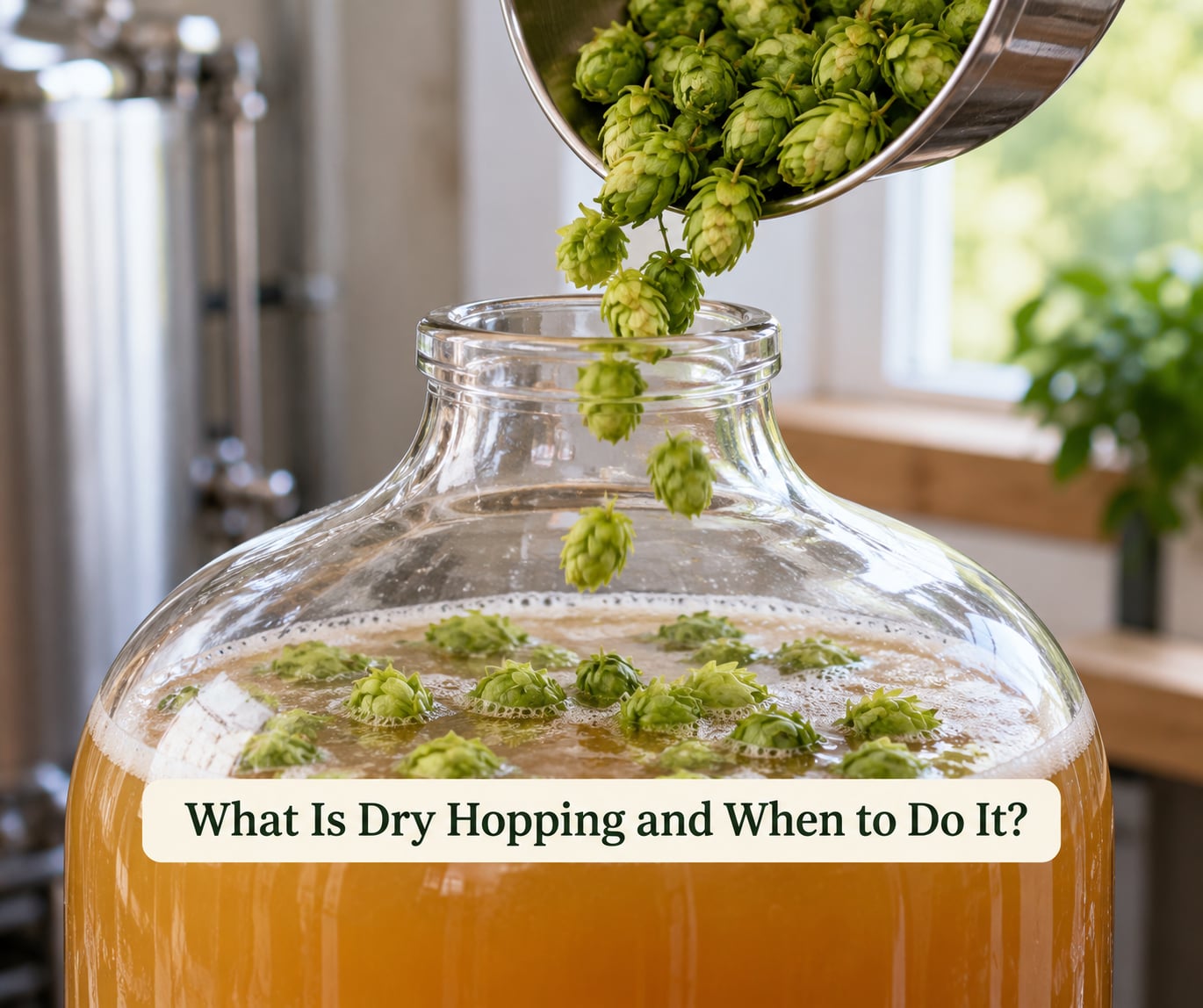 What Is Dry Hopping and When to Do It?